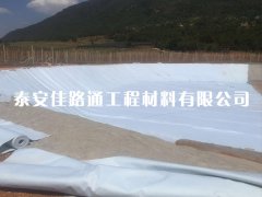 HDPE復合土工膜購買過程需要注意哪些細節(jié)要點？