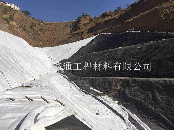 垃圾填埋場防滲膜鋪設(shè)選擇技巧:新穎視角下的考量 垃圾填埋場防滲膜鋪設(shè)選擇技巧:新穎視角下的考量
