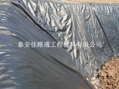 沼氣池防滲膜吹塑工藝：創(chuàng)新之路，守護綠色能