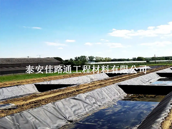 魚塘防滲土工膜：魚兒成長的雙刃劍？