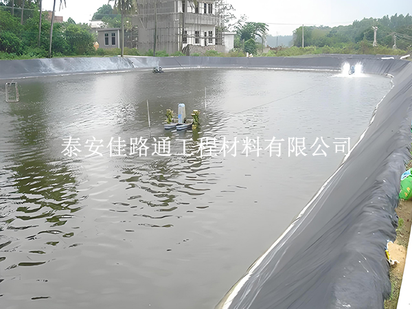 魚蝦養(yǎng)殖防滲膜選黑還是白？掌握這些原則不選