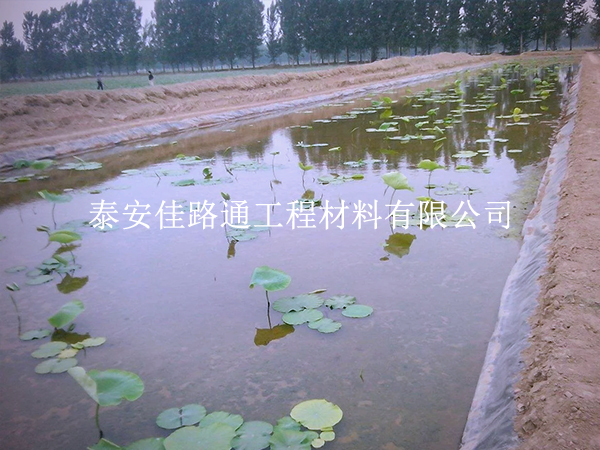 養(yǎng)殖防滲膜施工別大意，這些控制要點(diǎn)要抓實(shí)